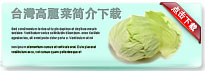 taiwancabbage-thum-cn