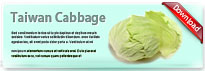 taiwancabbage-thum-en
