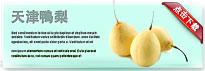 tianjinpear-thum-cn
