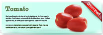 tomato-thum-en
