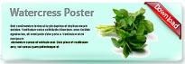 watercress-poster-thum3