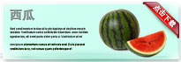 watermelon-thum-cn