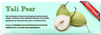 yalipear-thum-en