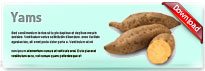 yam-thum-en