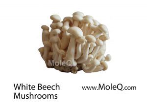 whitebeechmushrooms