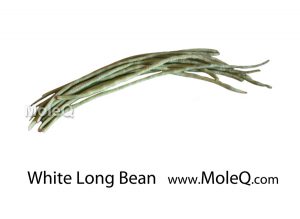 whitelongbean