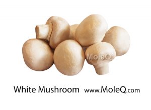 whitemushroom
