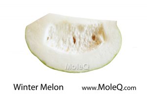 winte-melon