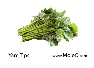 yamtips