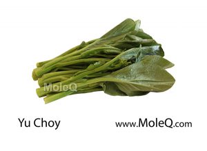 yuchoy