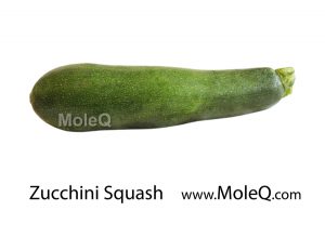 zucchinisquash