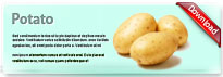 potato-thum-en