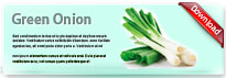 welshonion-thum-en