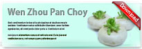 wenzhoupanchoy-thum-en