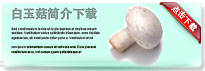 whitemushroom-thum-cn