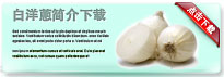 whiteonion-thum-cn