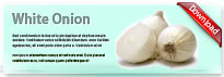 whiteonion-thum-en