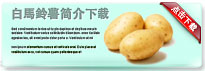 whitepotato-thum-cn