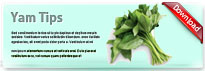 yamtips-thum-en