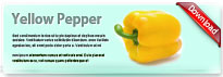 yellowpepper-thum-en