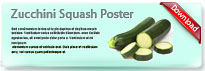zucchini-thum