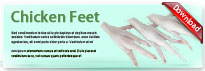 chickenFeet-thum-en