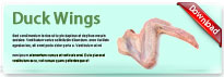 duckWings-thum-en