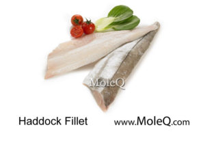 haddock