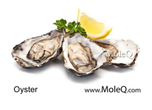 oyster