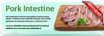 porkIntestine-thum-en