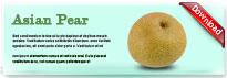 asianPear-thum-en