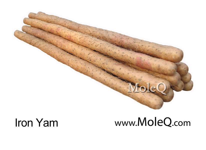 Iron Yam