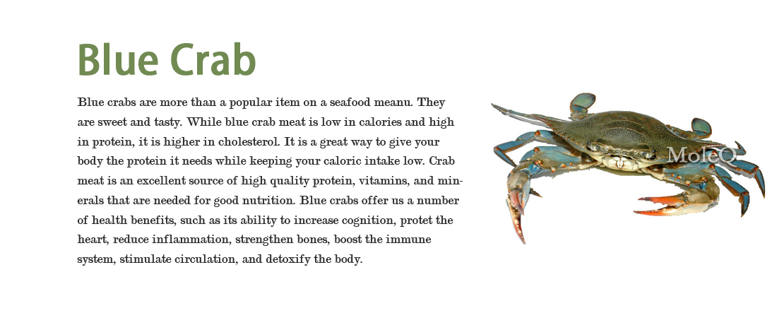 Blue Crab – Moleq Inc. – Food Information