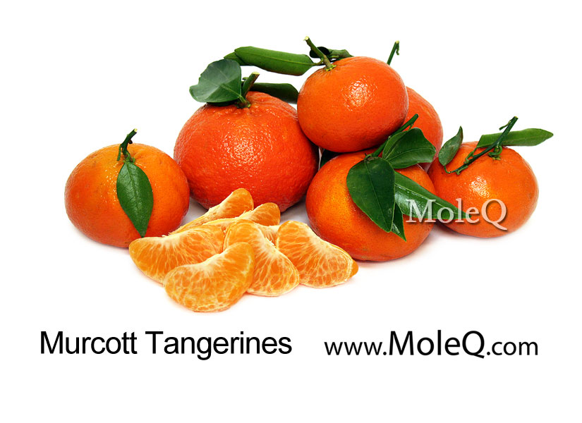 Murcott Tangerines – Moleq Inc. – Food Information